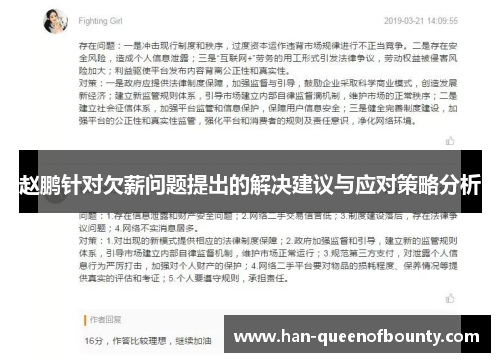 赵鹏针对欠薪问题提出的解决建议与应对策略分析